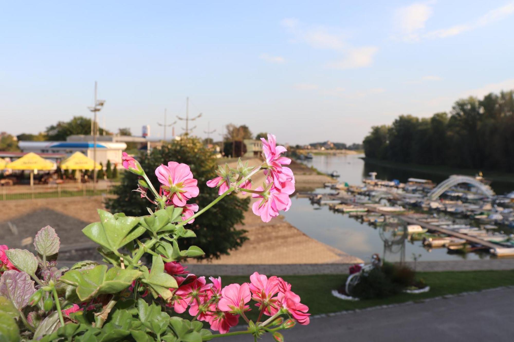 Apartments Marina Апатин Экстерьер фото